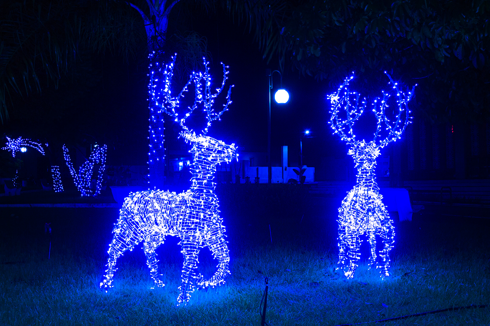 Confira a decoração natalina da praça 28 de Dezembro, em Joaquim Pires - PI - Imagem 23