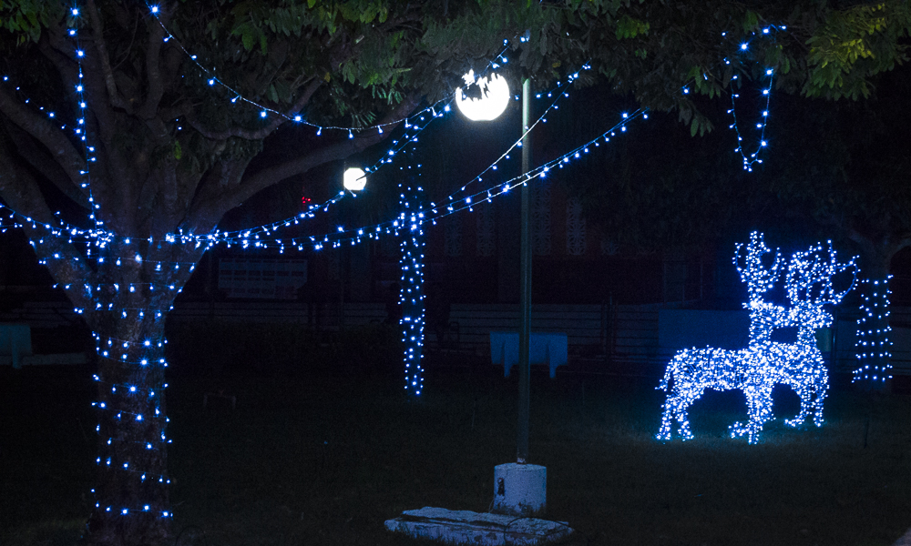 Confira a decoração natalina da praça 28 de Dezembro, em Joaquim Pires - PI - Imagem 8