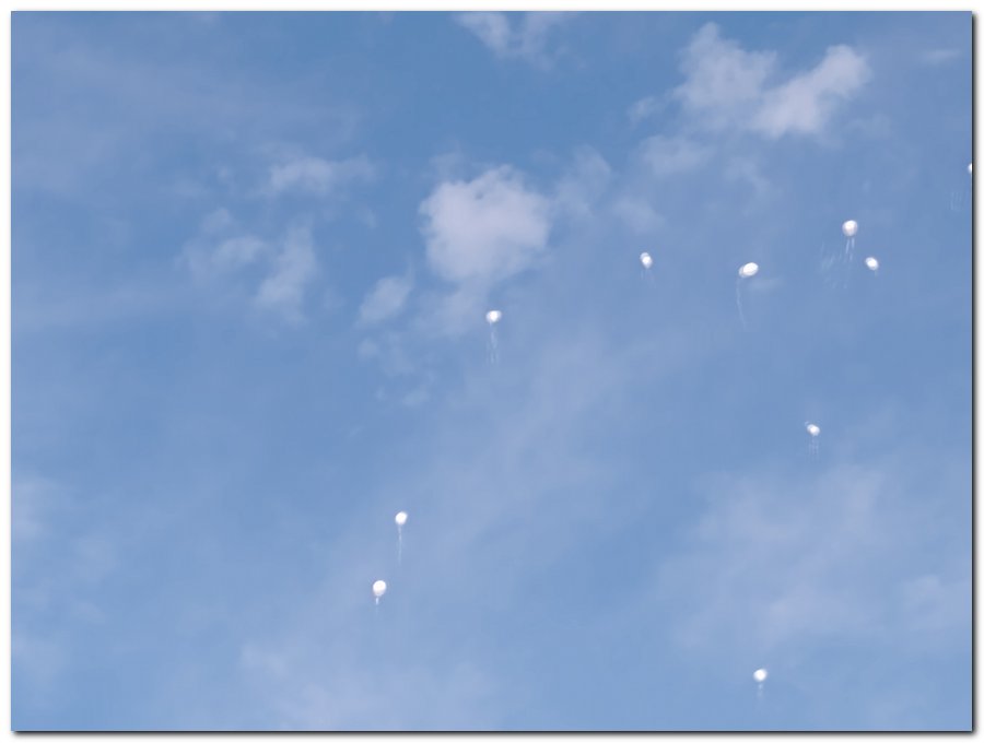 Jogo Casados x Solteiros –Edição 21 anos - Imagem 9