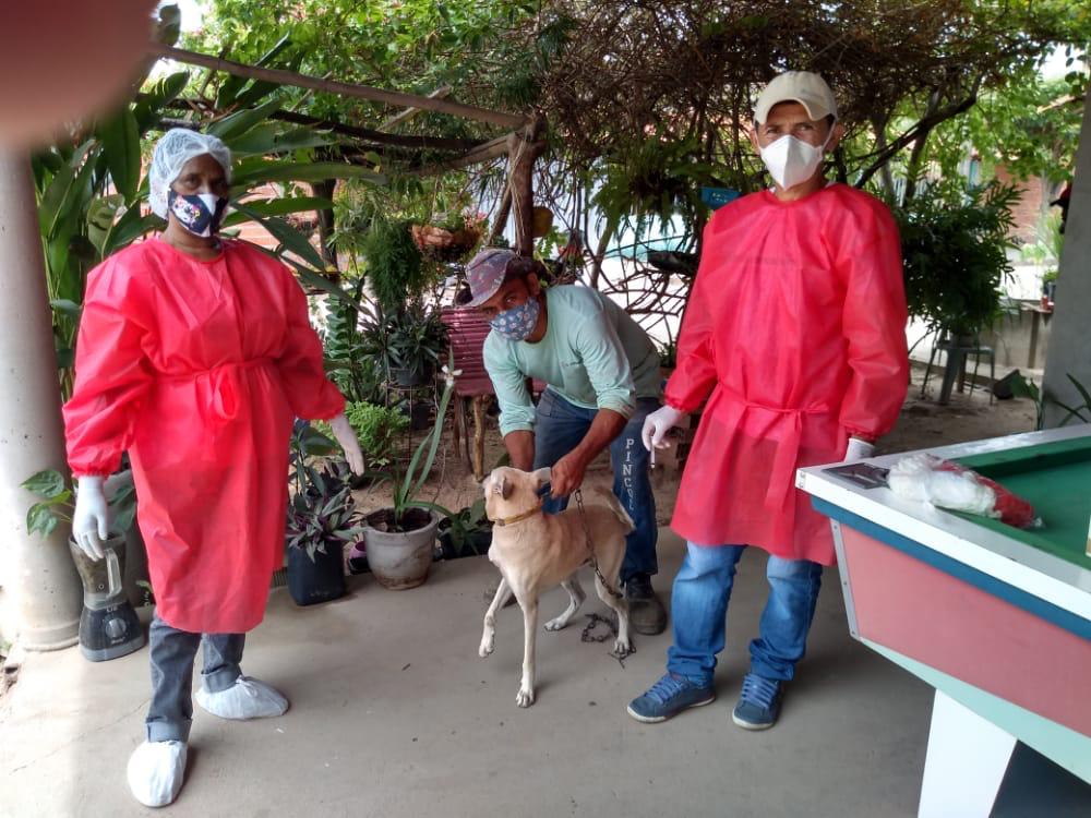 Monsenhor Gil cuida das pessoas e de seus animais também - Imagem 9