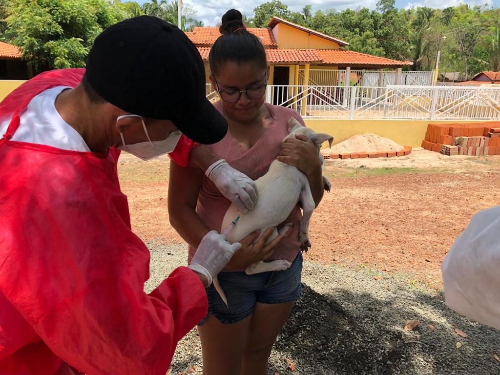 Monsenhor Gil cuida das pessoas e de seus animais também - Imagem 6