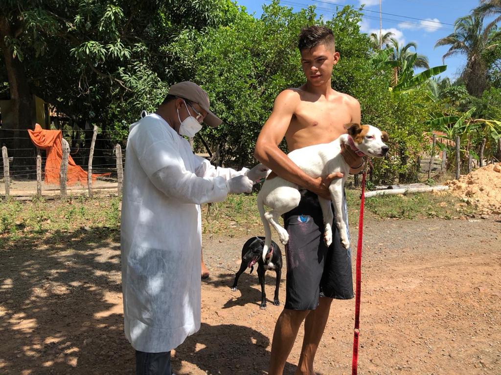 Monsenhor Gil cuida das pessoas e de seus animais também - Imagem 7