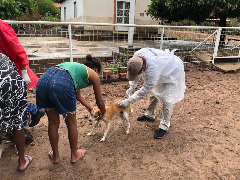 Monsenhor Gil cuida das pessoas e de seus animais também - Imagem 4