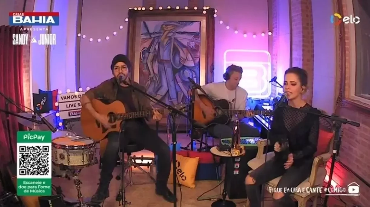 Saiba quais foram as lives mais assistidas do mundo em 2020 - imagem 30504