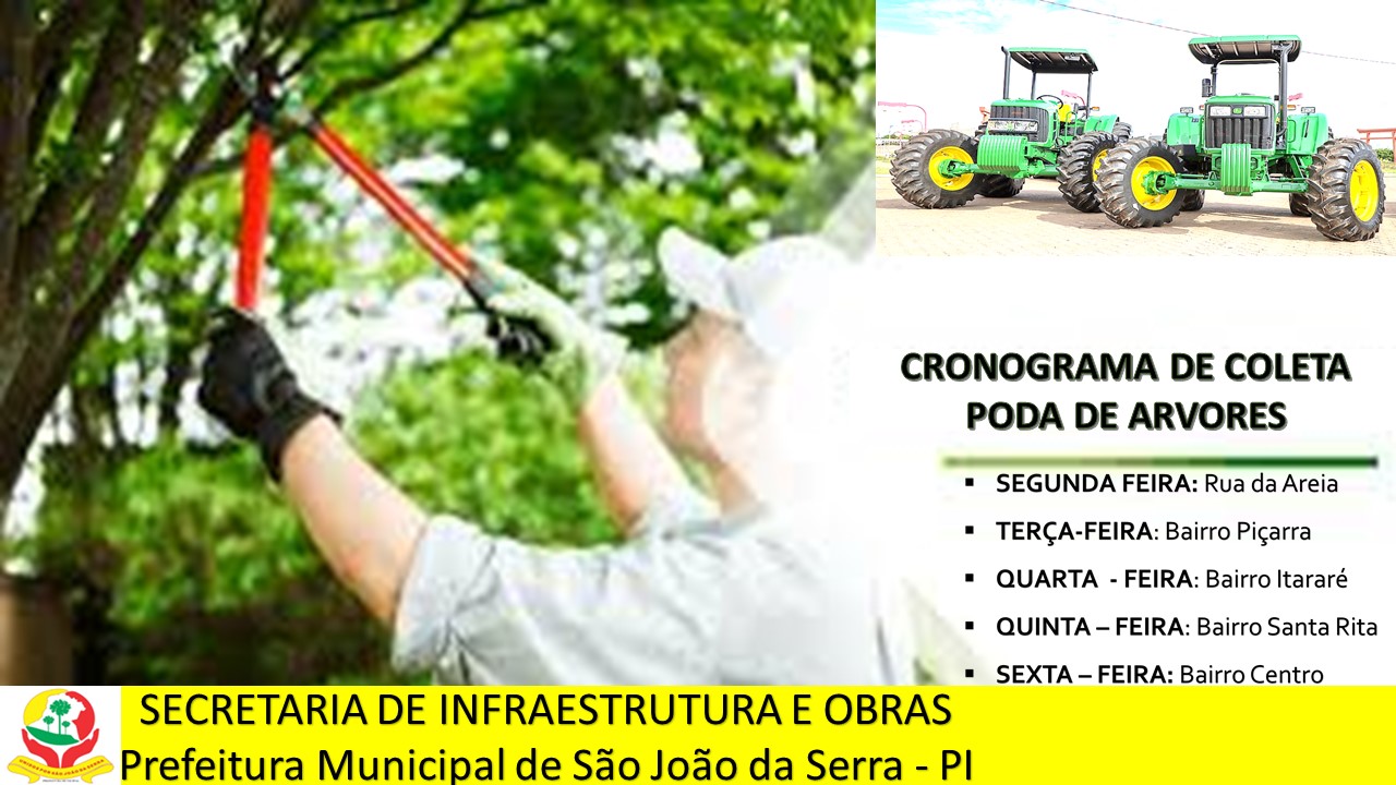 Poda de árvores realizado pela Secretaria de Obras