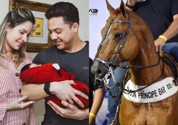 Saiba quais são os presentes mais extravagantes dados pelos famosos - imagem 15610