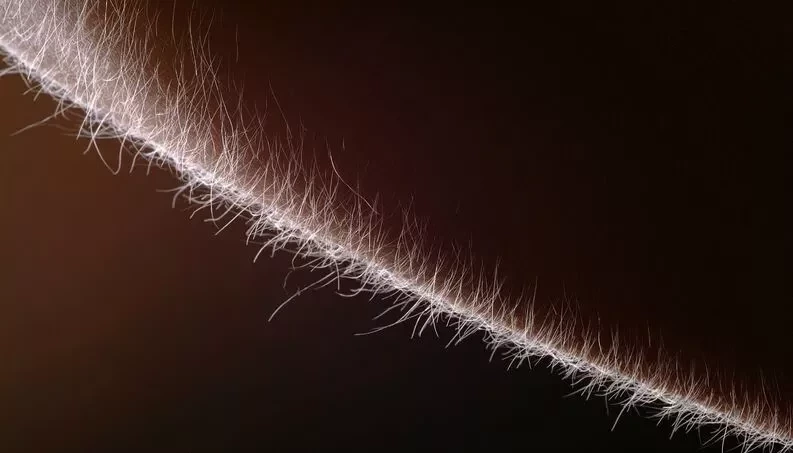 Aprenda a interpretar 9 sinais de que você pode ta correndo perigo  - imagem 15985