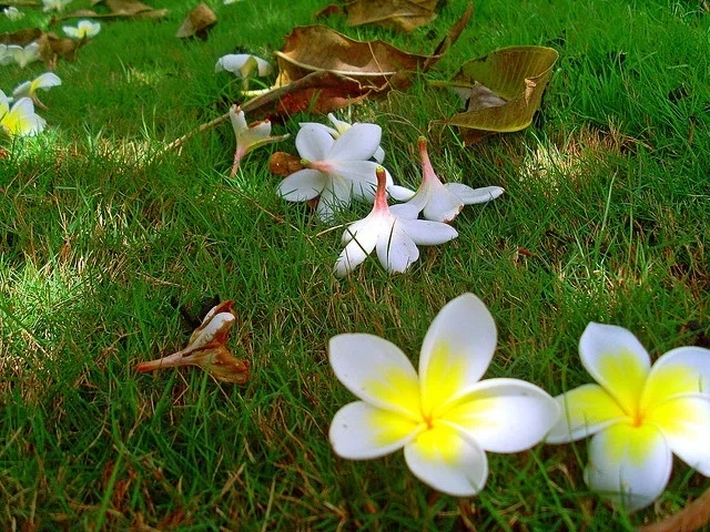 Aprenda a interpretar 9 sinais de que você pode ta correndo perigo  - imagem 15989