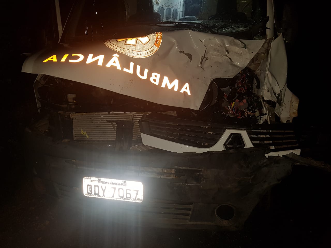 Ambulância do SAMU de Santo Inácio do Piauí bate em animal na PI 143  - Imagem 6