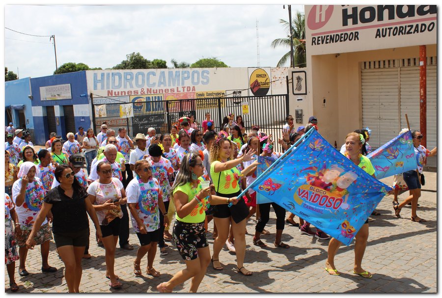 Prefeitura de Inhuma realiza carnaval dos Idosos - Imagem 22