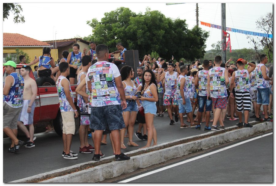 Carnaval em Inhuma foi bastante animado-confira as imagens - Imagem 18