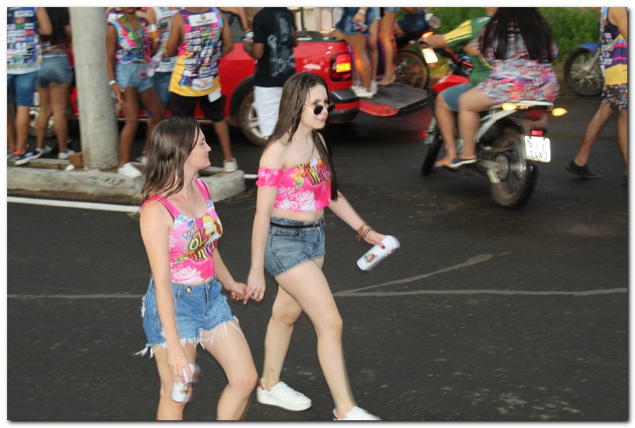 Carnaval em Inhuma foi bastante animado-confira as imagens - Imagem 25