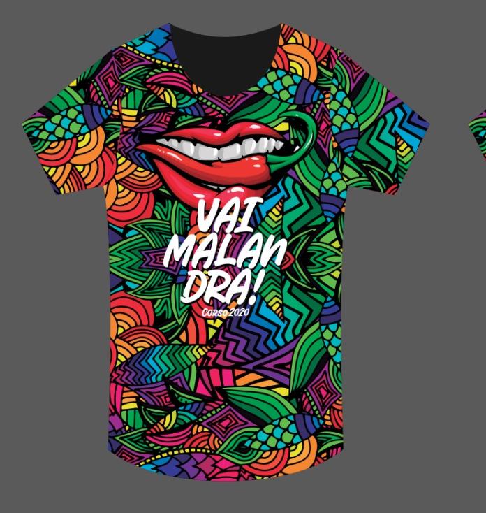 Monsenhor Gil se prepara para realizar o maior e melhor Corso da região do Médio Parnaíba - Imagem 9