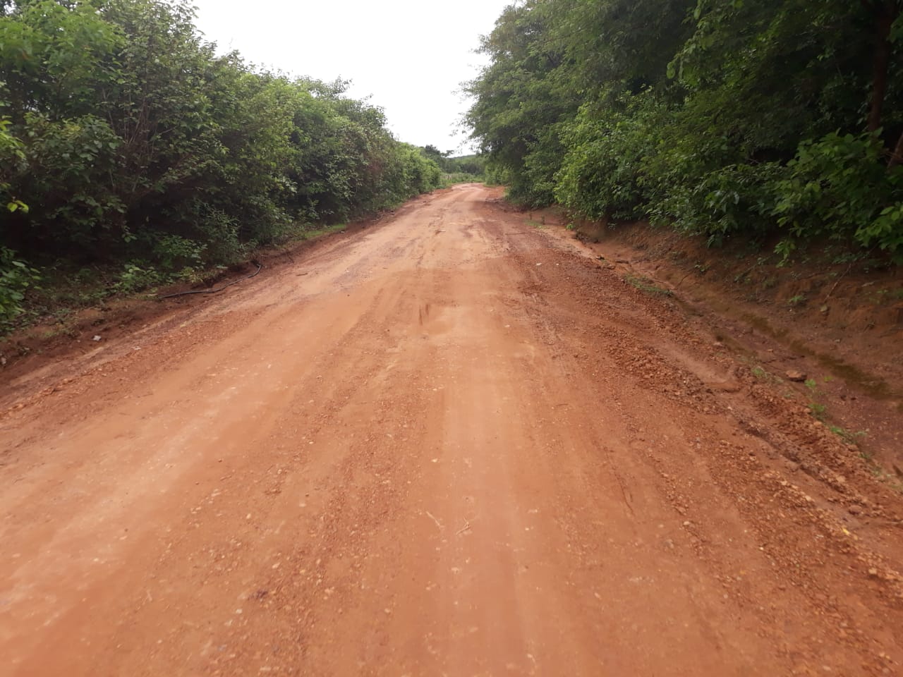 Prefeitura continua trabalhando no melhoramento das estradas vicinais  - Imagem 6