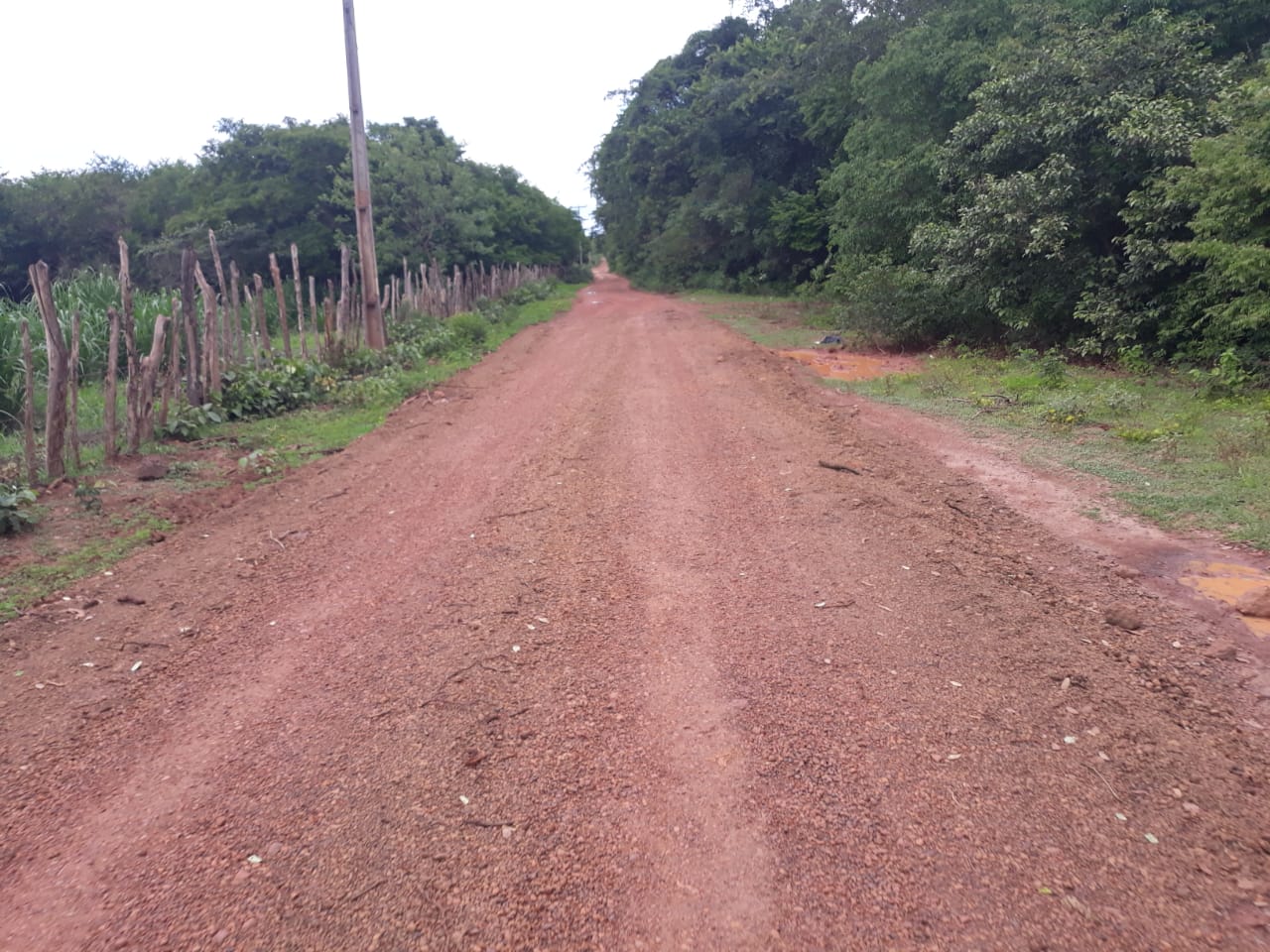 Prefeitura continua trabalhando no melhoramento das estradas vicinais  - Imagem 2