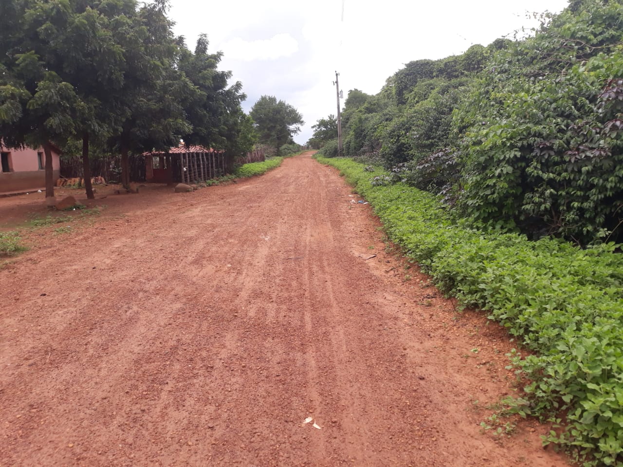 Prefeitura continua trabalhando no melhoramento das estradas vicinais  - Imagem 11