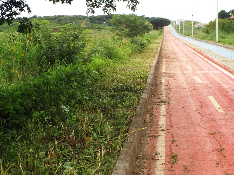 prefeitura continua recuperando calçamentos danificados pela chuvas - Imagem 8