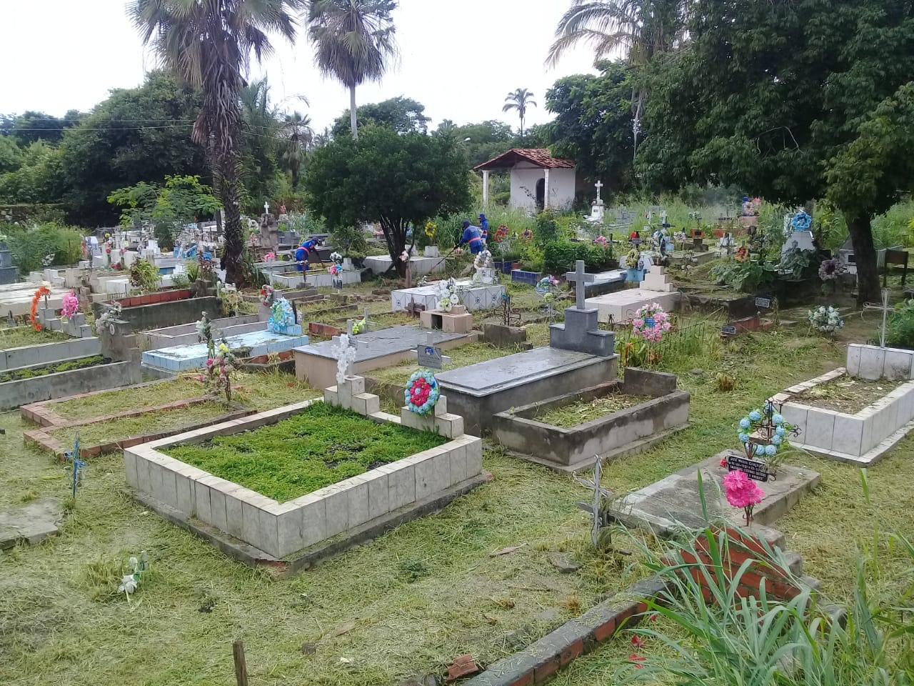 Prefeito João Luiz afirma; toda área urbana será limpa atendendo um cronograma - Imagem 13