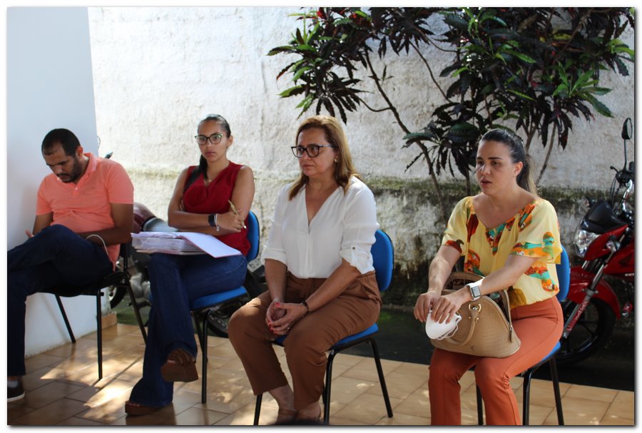 Secretária de Saúde se reúne com profissionais da saúde  - Imagem 1