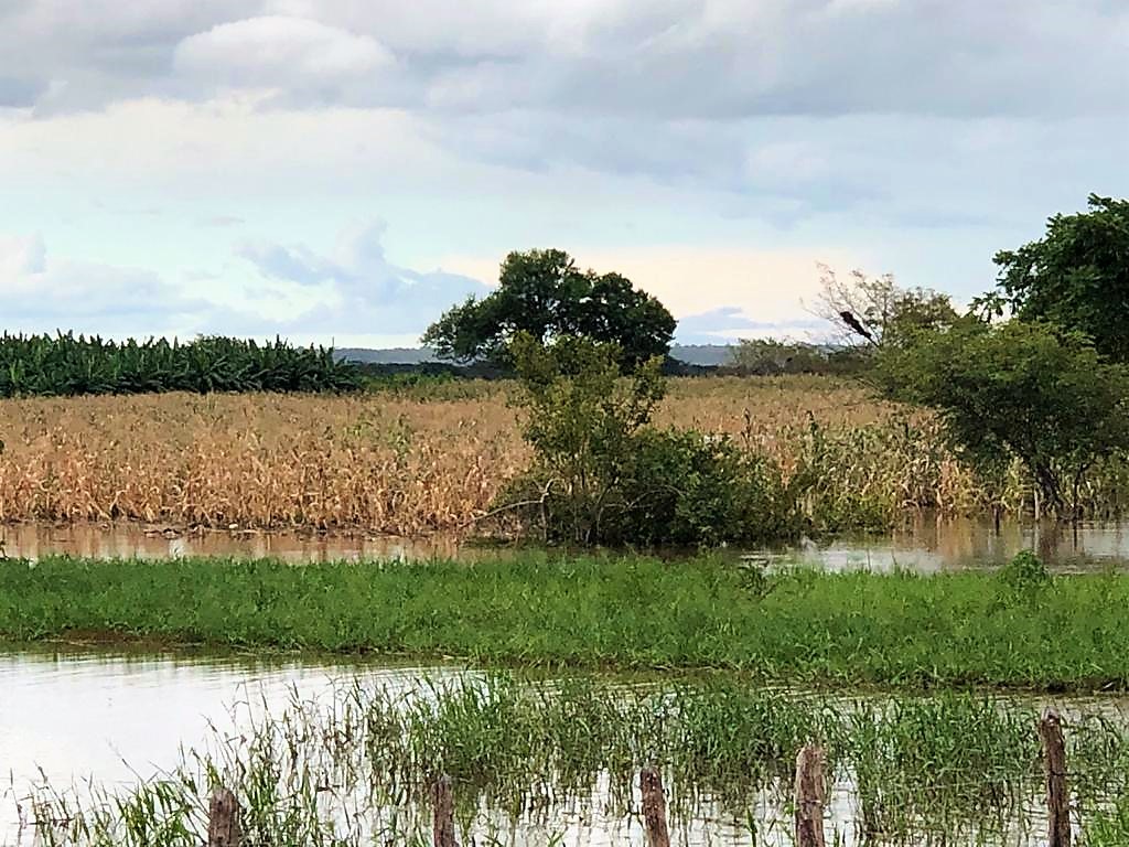 Defesa Civil realiza entrega de cestas de alimentos as famílias desabrigadas - Imagem 2