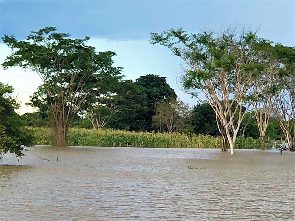 Defesa Civil realiza entrega de cestas de alimentos as famílias desabrigadas - Imagem 1