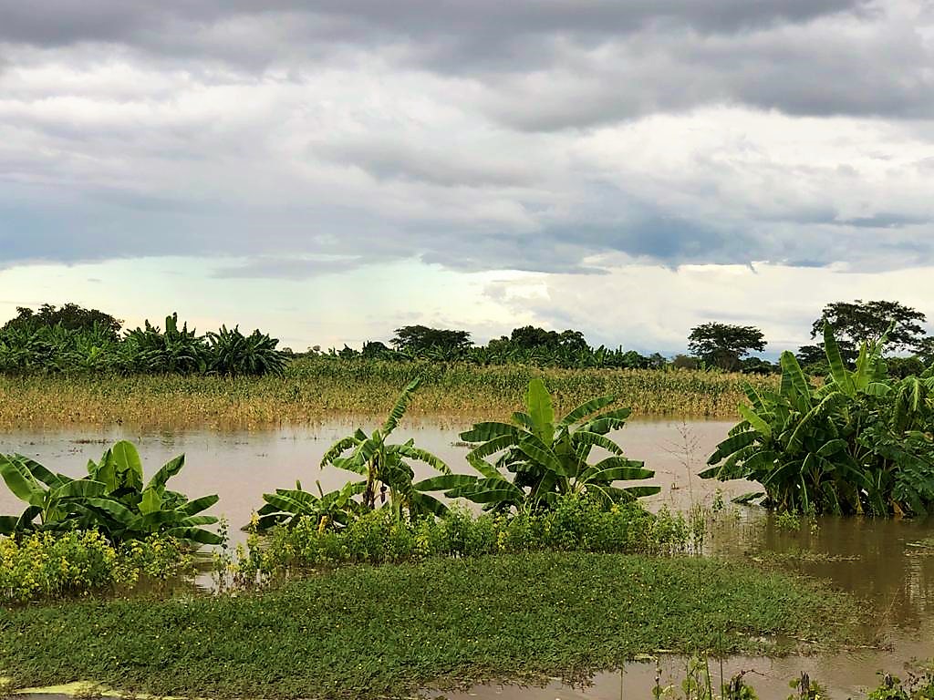 Defesa Civil realiza entrega de cestas de alimentos as famílias desabrigadas - Imagem 6