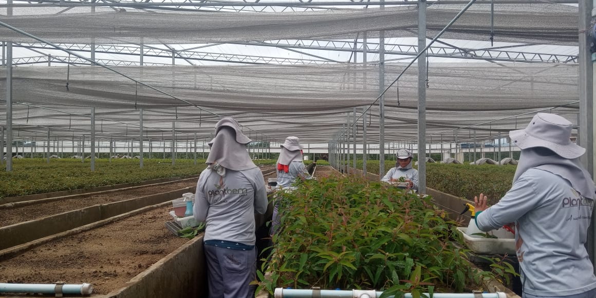 Em Monsenhor Gil as ações de enfrentamento a Pandemia do Corona Vírus, não param - Imagem 8