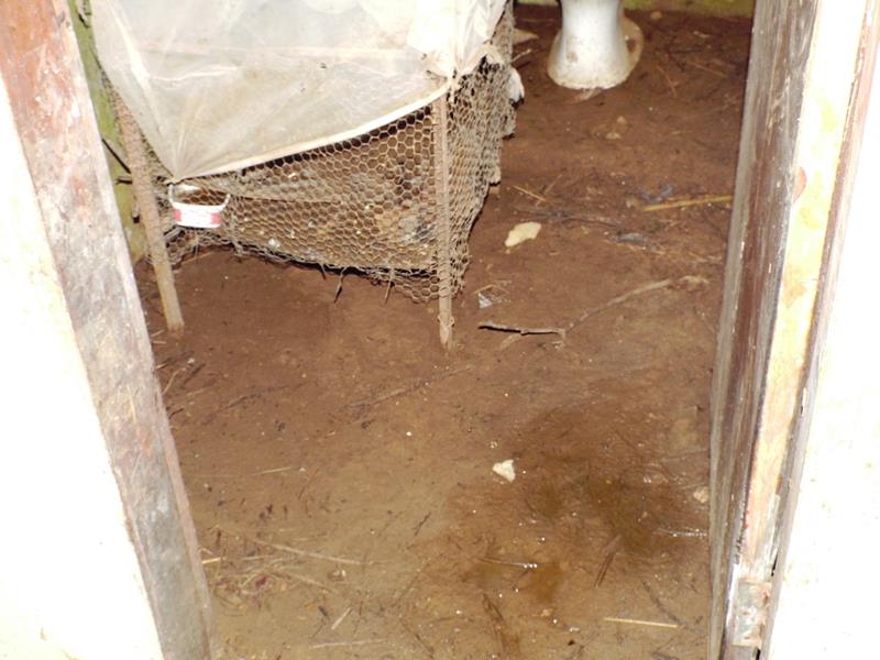 Município faz entrega de cestas de alimentos, roupas, e colchões as famílias dos Bairros Barragem e Cristo Rei - Imagem 18