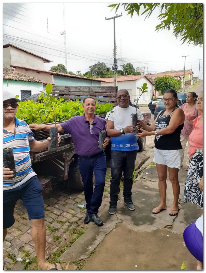 Secretaria de Agricultura de Inhuma distribuiu muda de Cajueiro - Imagem 4