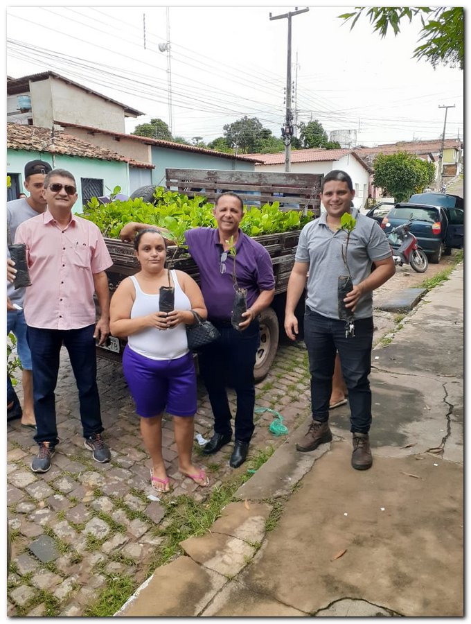 Secretaria de Agricultura de Inhuma distribuiu muda de Cajueiro - Imagem 5