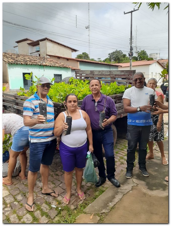 Secretaria de Agricultura de Inhuma distribuiu muda de Cajueiro - Imagem 1