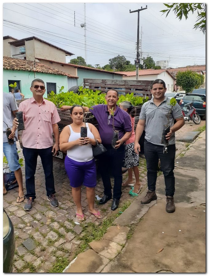 Secretaria de Agricultura de Inhuma distribuiu muda de Cajueiro - Imagem 3