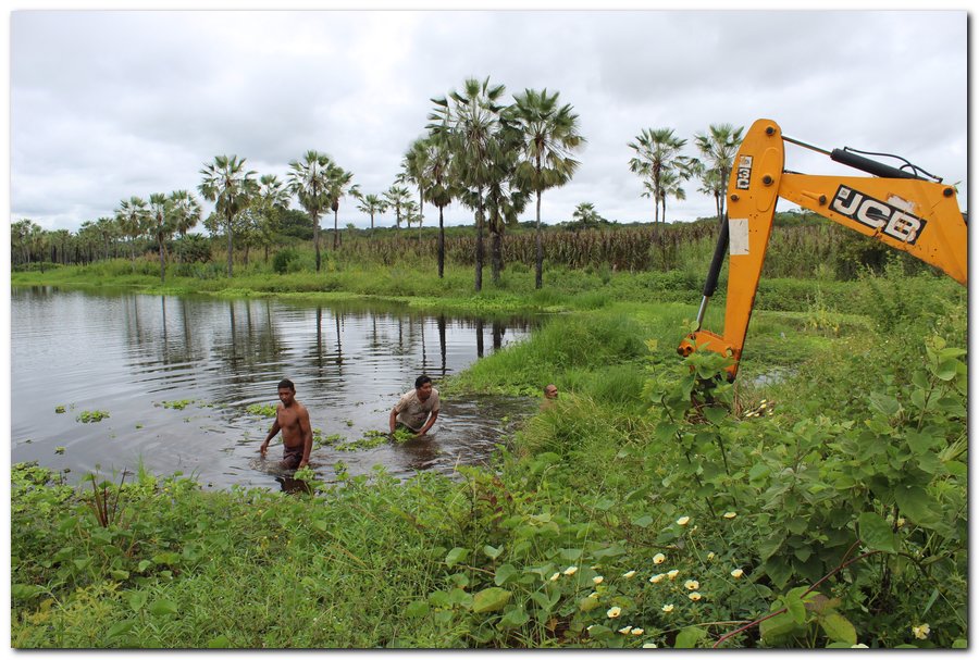 Mutirão realiza limpeza na Lagoa dos Banguês  - Imagem 1