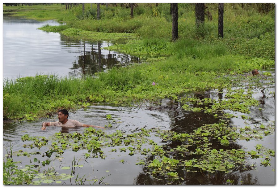 Mutirão realiza limpeza na Lagoa dos Banguês  - Imagem 3