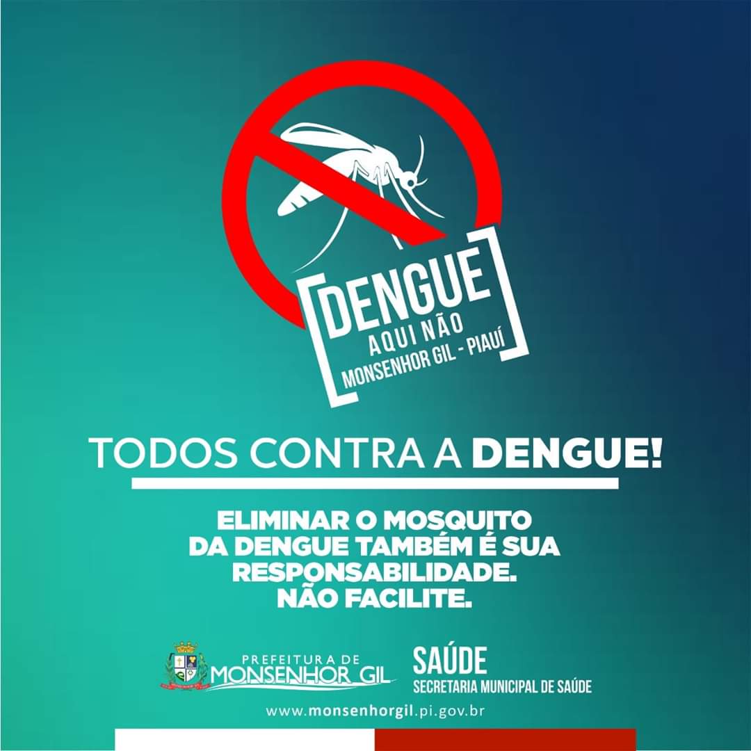 Combate a Dengue também preocupa autoridades de saúde em Monsenhor Gil - Imagem 1