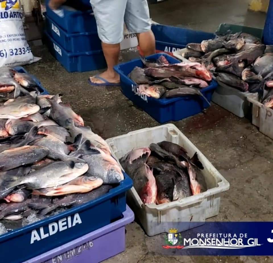Monsenhor Gil no combate ao Covid-19 - Prefeito João Luiz comanda ações - Imagem 5