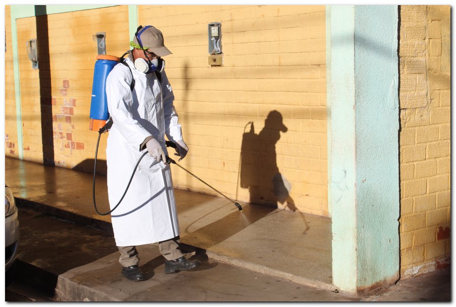 Agentes de Endemias realizam ações de higienização em Inhuma - Imagem 24