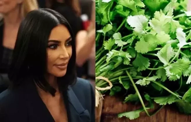 Saiba as comidas e bebidas que você nunca deve servir para os famosos - imagem 19722