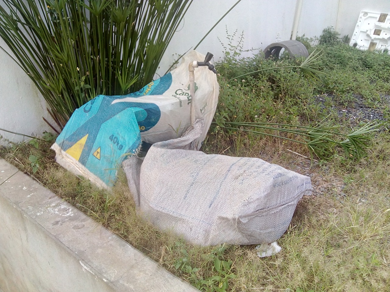 Ladrões devolvem produtos de furto em Ubs de Monsenhor Gil - Imagem 2