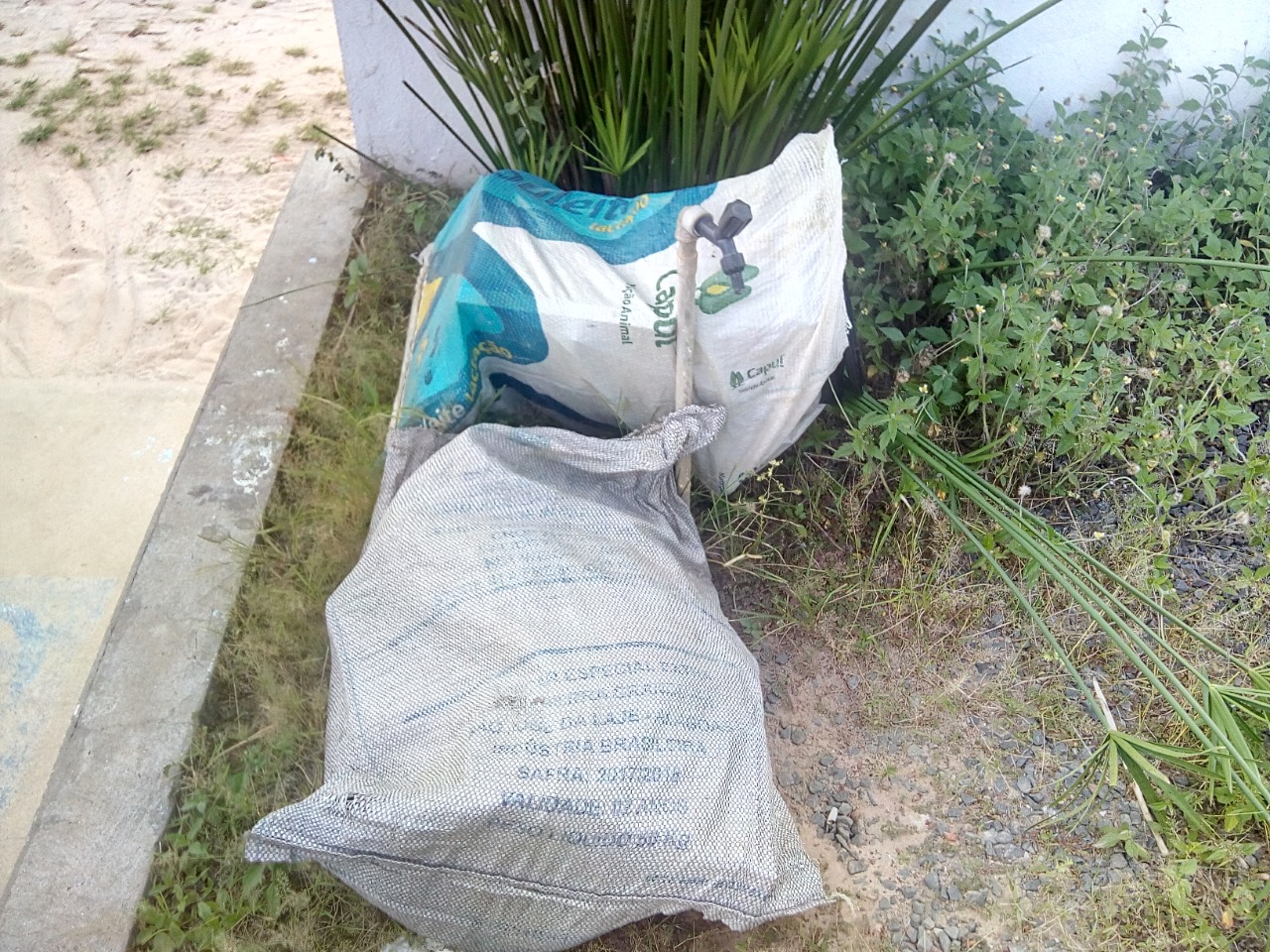 Ladrões devolvem produtos de furto em Ubs de Monsenhor Gil - Imagem 3