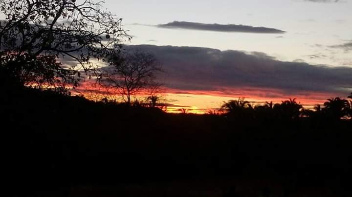 Depois de 22 anos Caminhada é cancelada em Monsenhor Gil - Imagem 11