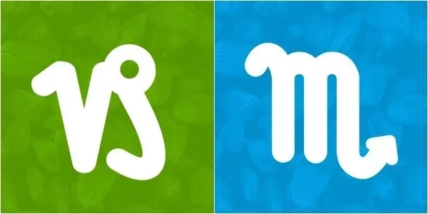 Conheça oito combinações de signos de casais que tendem a durar - imagem 21118