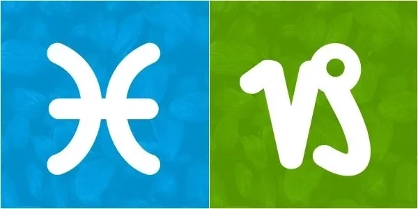 Conheça oito combinações de signos de casais que tendem a durar - imagem 21125