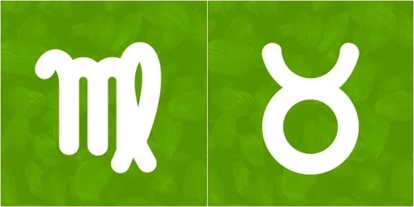 Conheça oito combinações de signos de casais que tendem a durar - imagem 21123