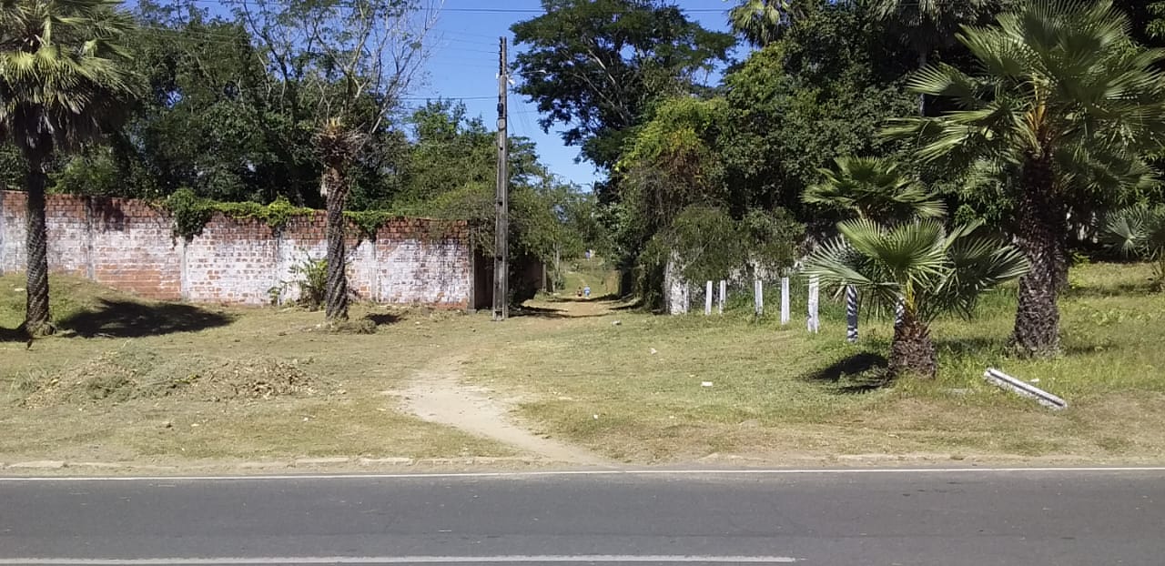 Prefeitura de Monsenhor Gil não cessa os trabalhos de limpeza das vias públicas, mesmo em tempos de pandemia - Imagem 7