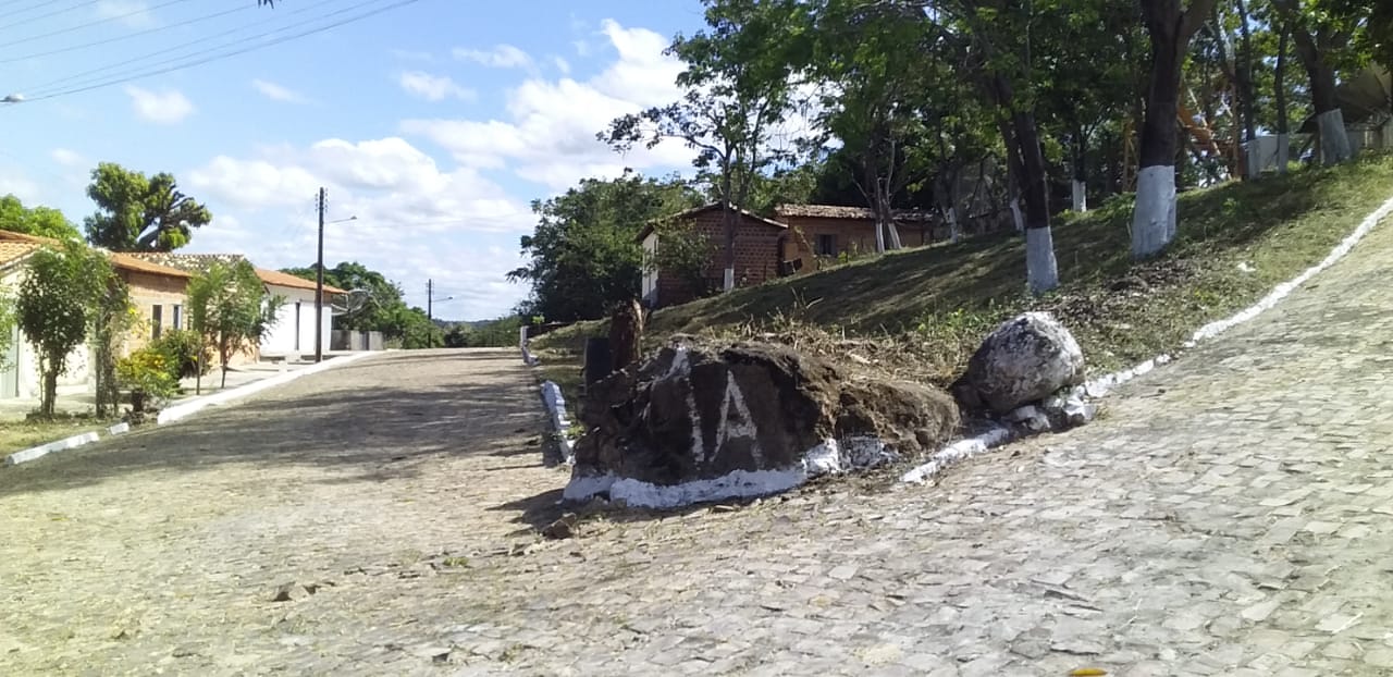Prefeitura de Monsenhor Gil não cessa os trabalhos de limpeza das vias públicas, mesmo em tempos de pandemia - Imagem 16