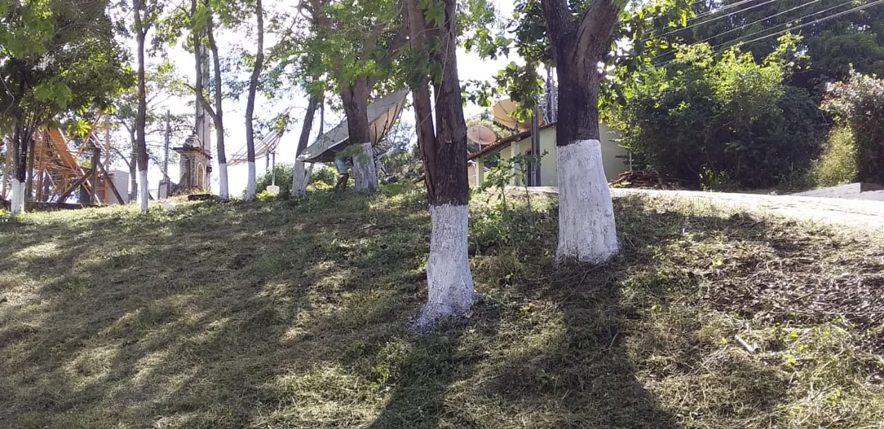 Prefeitura de Monsenhor Gil não cessa os trabalhos de limpeza das vias públicas, mesmo em tempos de pandemia - Imagem 18