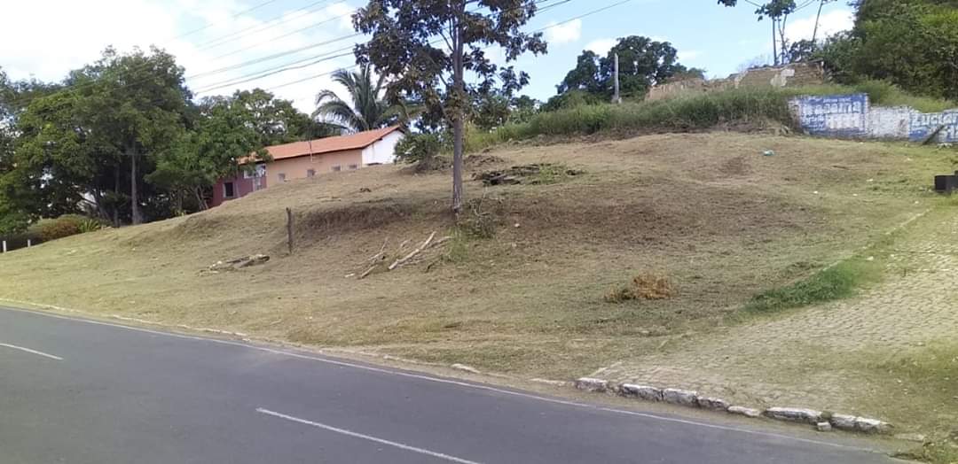 Prefeitura de Monsenhor Gil não cessa os trabalhos de limpeza das vias públicas, mesmo em tempos de pandemia - Imagem 12