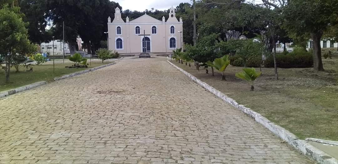 Prefeitura de Monsenhor Gil não cessa os trabalhos de limpeza das vias públicas, mesmo em tempos de pandemia - Imagem 2