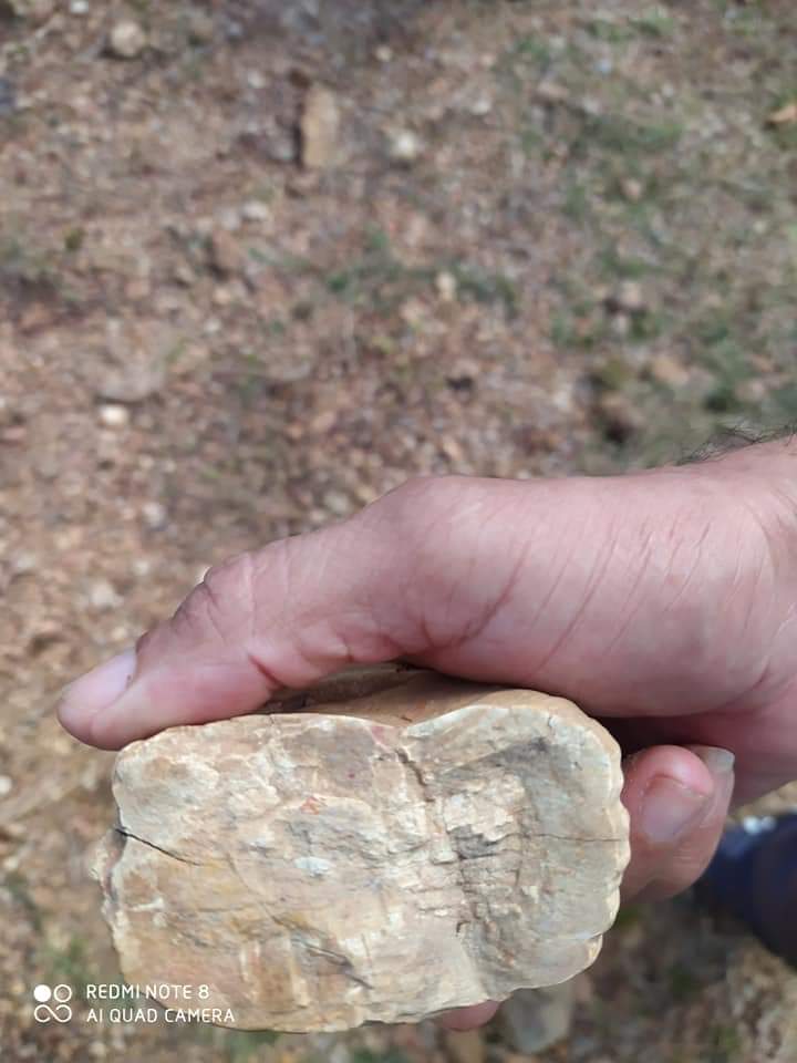 Monsenhor Gil, um município de encantos mil - Imagem 15